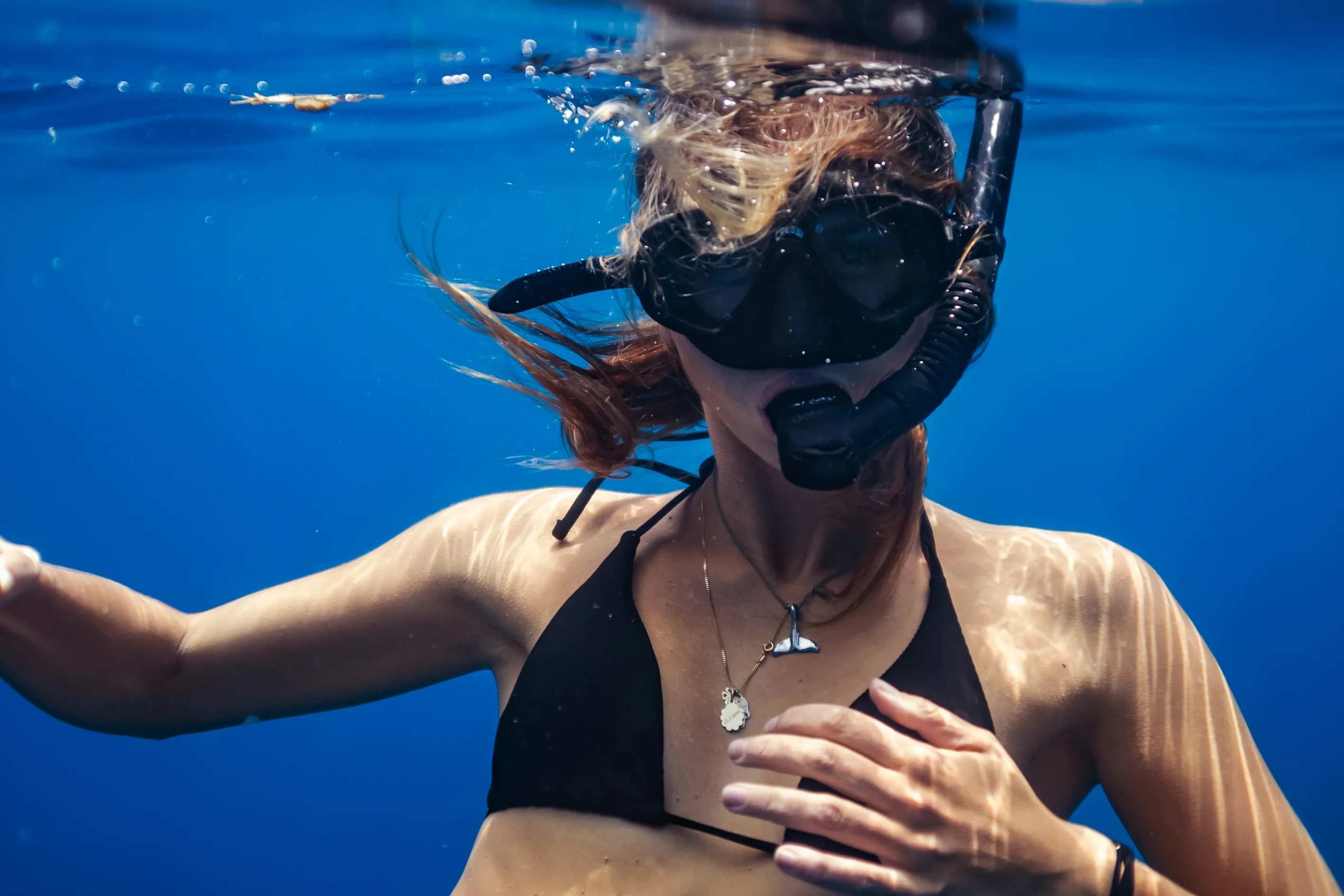 Underwater Photography 2